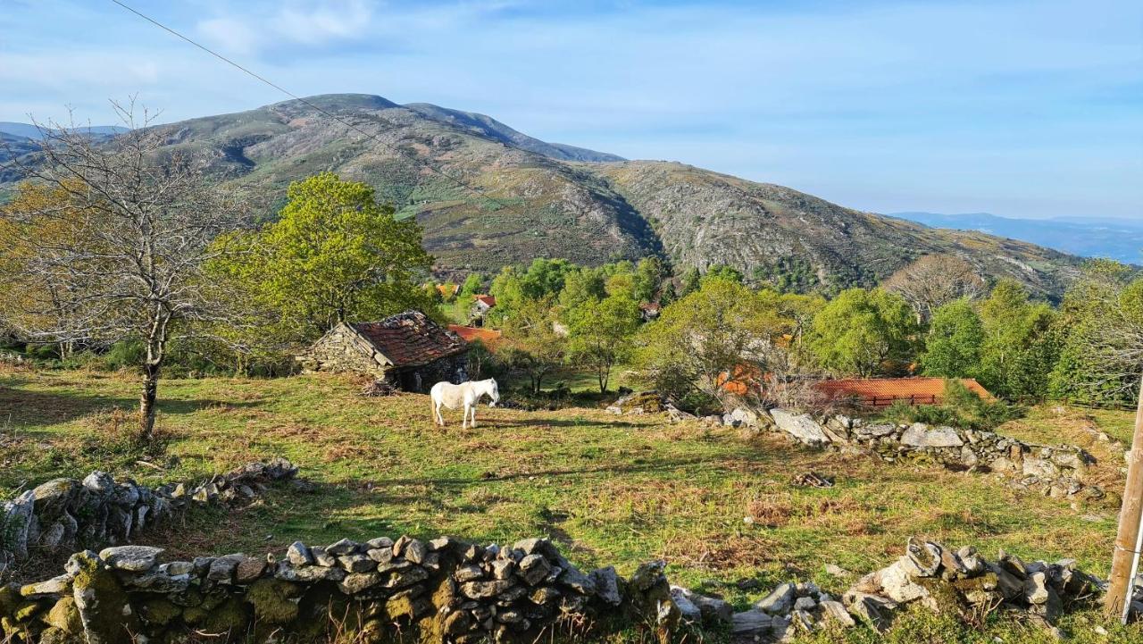 הוילה Branda de Santo António Cardenha Da Bessada מראה חיצוני תמונה